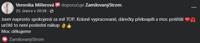 Snímek obrazovky 2026-03-11 140030