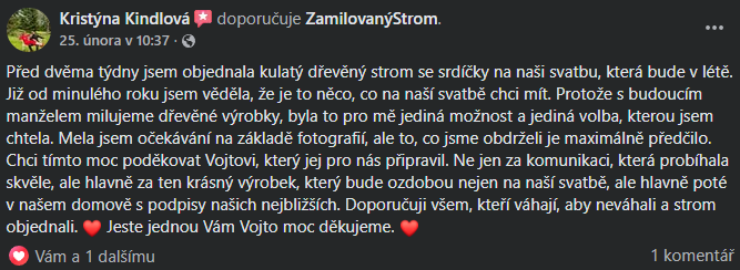Snímek obrazovky 2026-03-11 140043