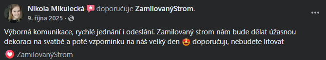 Snímek obrazovky 2026-03-11 140050