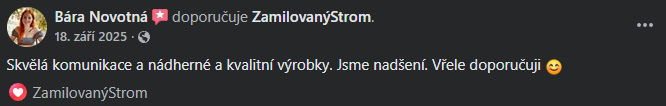 Snímek obrazovky 2026-03-11 140056