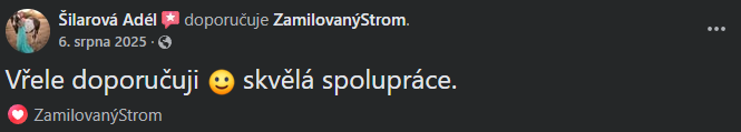 Snímek obrazovky 2026-03-11 140101