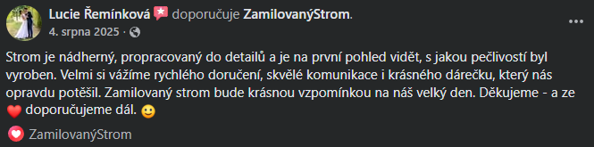 Snímek obrazovky 2026-03-11 140109