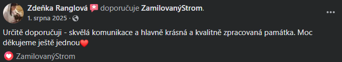 Snímek obrazovky 2026-03-11 140122