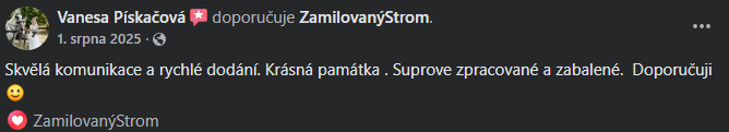 Snímek obrazovky 2026-03-11 140127