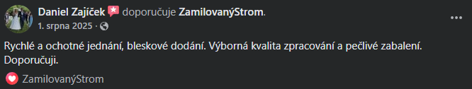Snímek obrazovky 2026-03-11 140134