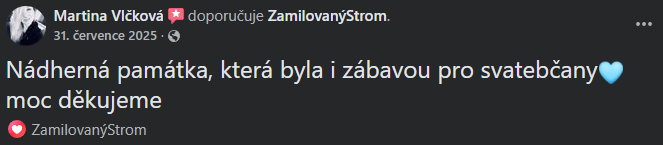 Snímek obrazovky 2026-03-11 140139