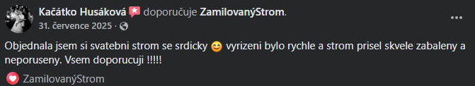 Snímek obrazovky 2026-03-11 140146