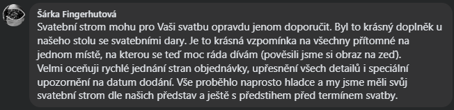 Snímek obrazovky 2026-03-11 140229